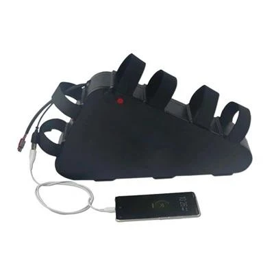 52 V 30Ah Ebike -akku