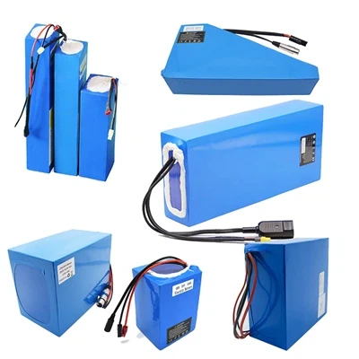 Electric Bicycle Battery Electric Bicycle Battery