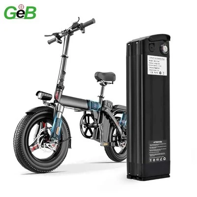 36 V 1000W Ebike -akku